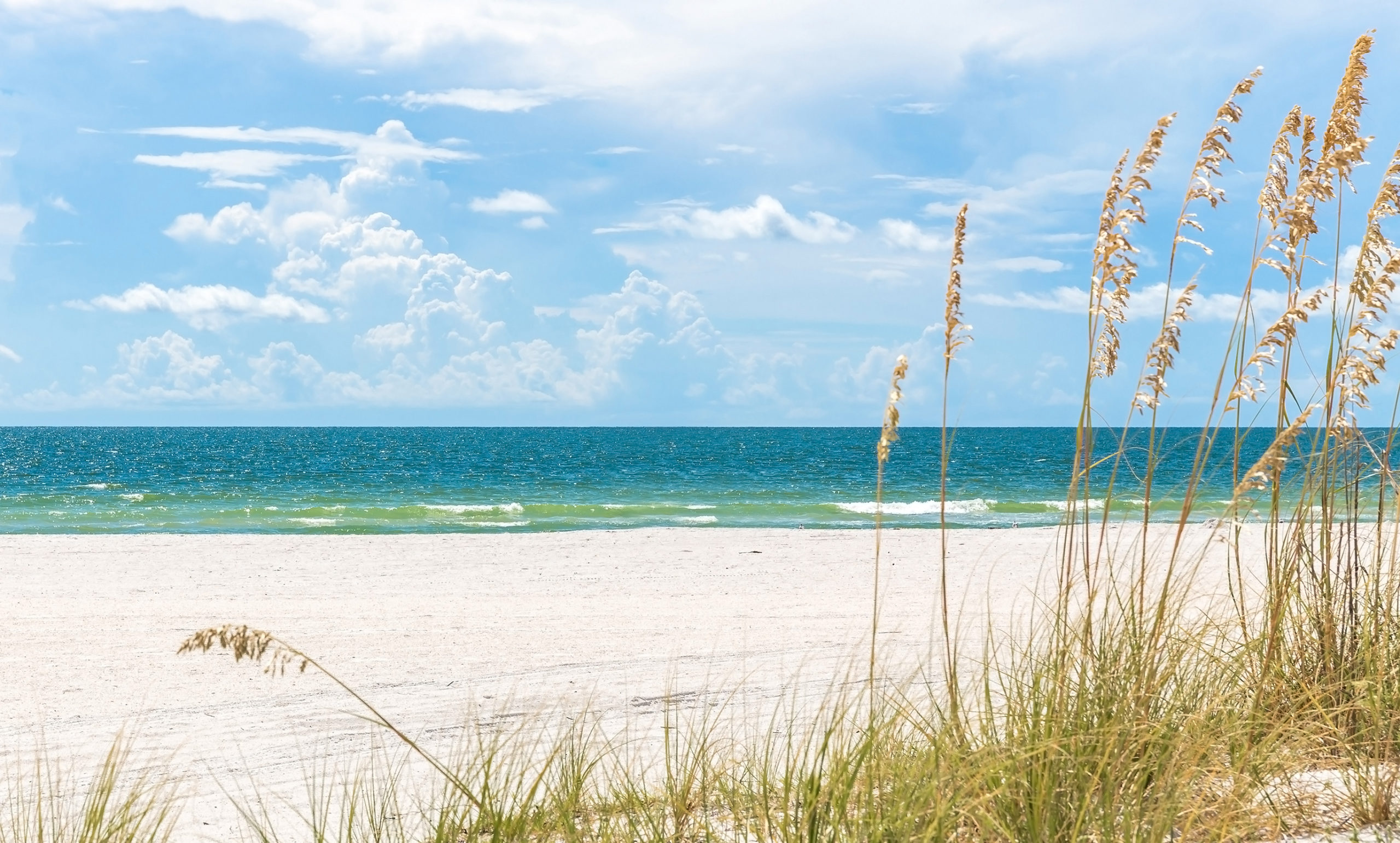 Beach in Florida